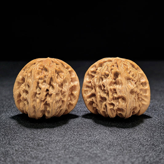 "Spherical White Lionhead" Qiuxing Baishizi QXBSJ-1505C Low-Profile Wenwan Walnuts Pair | 41.0mm x 40.0mm | QXBSJ-1505C