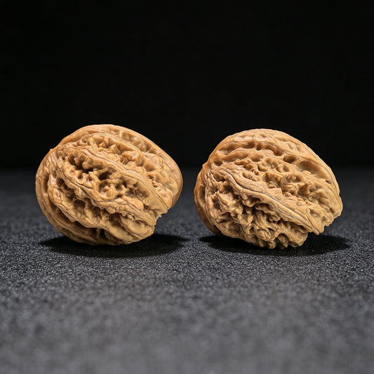 The "Bold-Ribbed Half-Wall" (Cu Jin Ban Bi) Collector-Grade Deep-Belly Pair | 40.0mm x 44.0mm | CJBB-401E