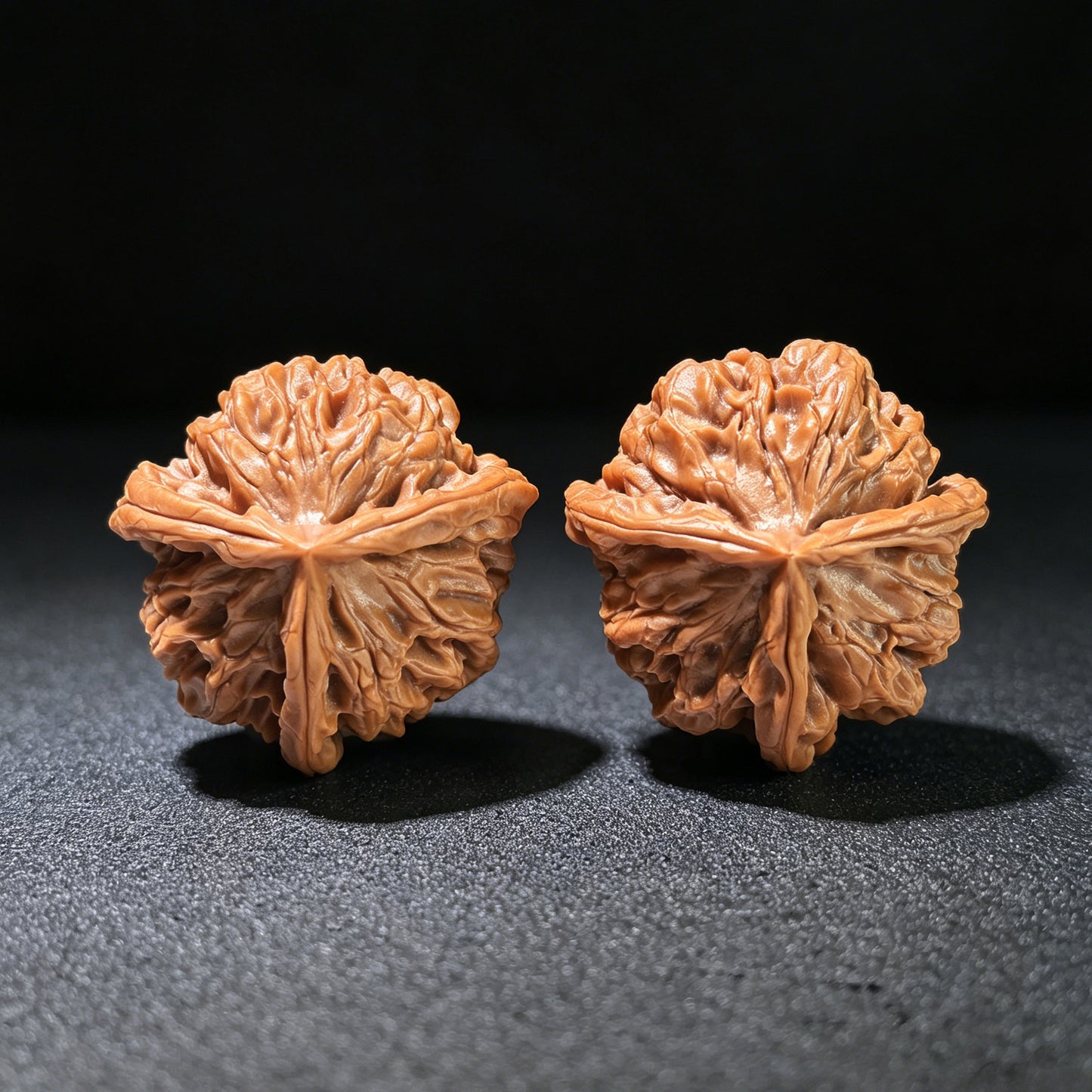 The Rare "Hundred Longevity Lion's Head" Triangle Collector's Pair | 37.0mm x 37.0mm x 35.0mm | BSSZT3N-1001E