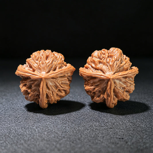 The Rare "Hundred Longevity Lion's Head" Triangle Collector's Pair | 37.0mm x 37.0mm x 35.0mm | BSSZT3N-1001E