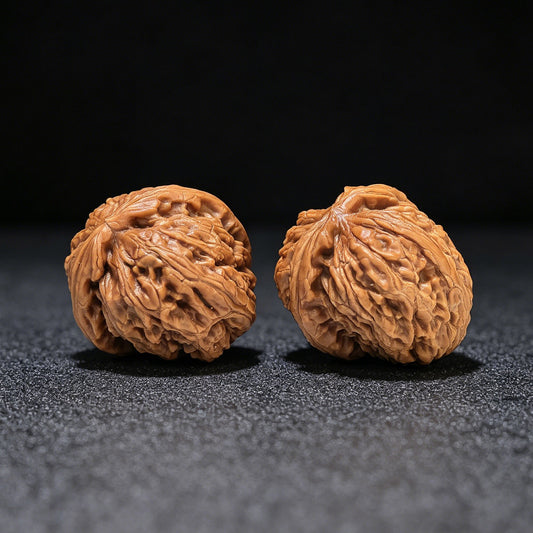 The Spectacular "White Lion Head Half-Wall" Baishizi Banbi Pocket Masterpiece | 34.0mm x 35.0mm | BSJBB-402E