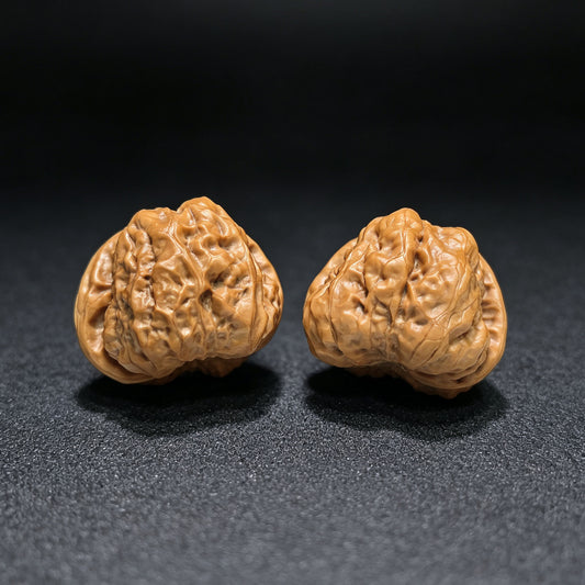 "Toad Head" Hamatou Wenwan Walnusspaar | 40,0 mm x 41,0 mm | HMT-01SY