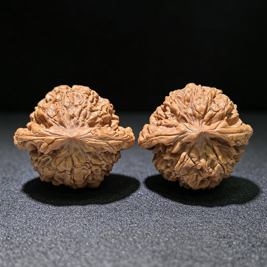 The "Dragon Cauldron" (Long Ding) Matched Pair | 55.0mm x 50.0mm | LD-1201C