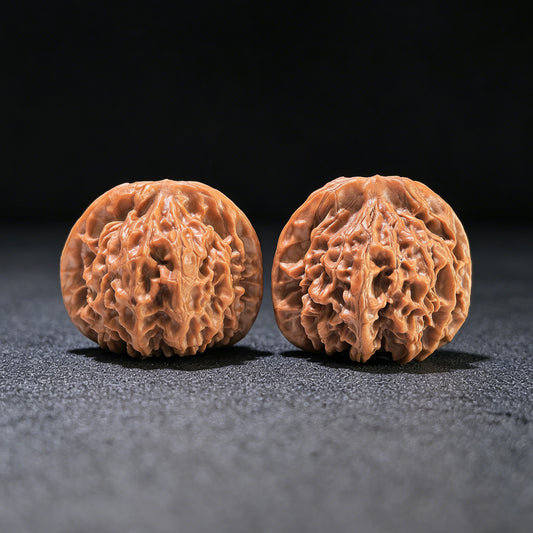 The "Qin Men Lion Head" Perfectly Balanced Boutique Pair | 39.0mm x 37.0mm | QM-1202C