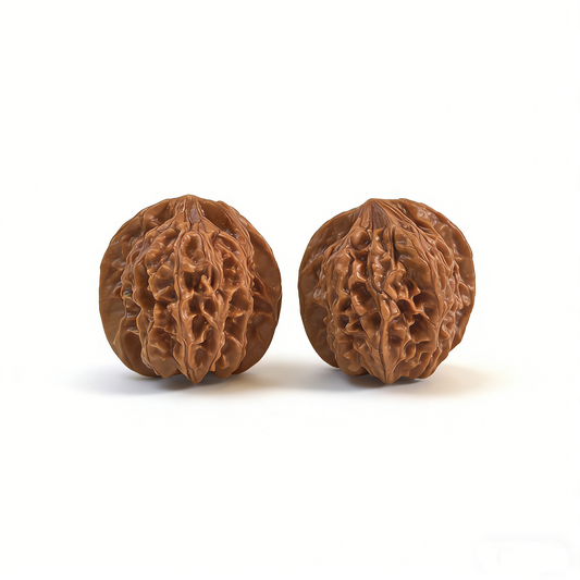 The "Jade Crab" (Yu Xi) – Rare Natural Architecture & Crab-Shell Build | 35mm Collector’s Pair