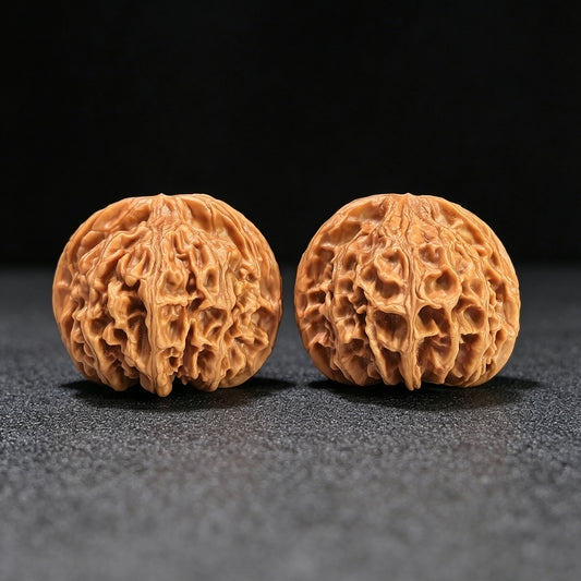 The "White Lion" (Bai Shizi) Collector-Grade Giant Deep-Belly Pair | 48.0mm x 45.0mm | Premium Pink-Tone Shell | BSJ-1351C