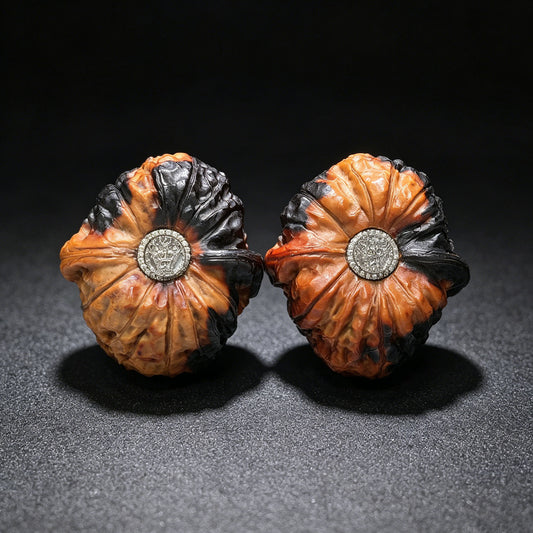 "Earth-Muffled Pumpkin Pier" (Di Men Gua Dun) Scholar Walnuts | Inlaid Rotatable Dragon Head Navels | 41.0mm x 45.0mm | High-Contrast Dual-Tone Masterpiece | Stock ID: DMLGD-101SY