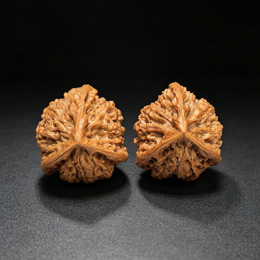 Three-Ribbed Official's Hat (Guanmao Sanling) Scholar Walnuts Pair | 38.0mm x 33.0mm | Collector Grade Masterpiece | Stock ID: GM-801S