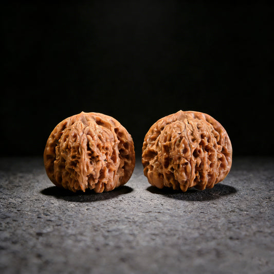 The "Nan Jiang Shi" Lion Head Pair | 41.0mm x 39.0mm | NJS-502