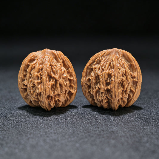 „Liger“ Shihushou Wenwan Walnusspaar | 40,0mm x 40,0mm | SHS-1101
