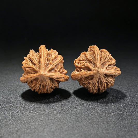 "Three-Ribbed Reaching Heaven Eight" Tongtianba Sanling TTBSN-SY1H3 Rare Wenwan Walnuts Pair | 35.0mm x 36.0mm | TTBSN-SY1H3