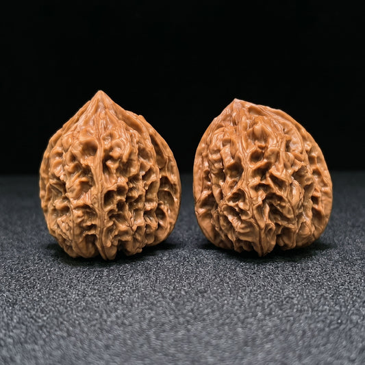 The "Wild Bison" (Ye Niu) Premium Heavy-Bone Deep-Belly Pair | 38.0mm x 40.0mm | YN-1402