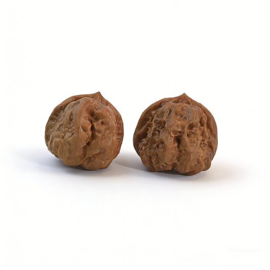 The "Toad Head" (Ha Ma Tou) – Classic Low-Profile Zen Architecture | 35mm Collector’s Pair