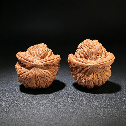 The Rare "Flying Snake" Lion Head (Fei She) Matched Pair | 34.0mm x 37.0mm | FSST-1201E