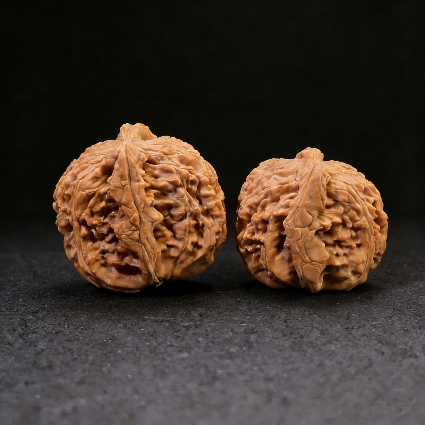 The "Half-Wall White Lion Head" – Deep Textured Natural Pair | #WL-31 (Actual Item Pictured)