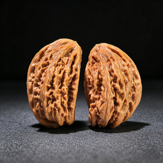 The "White Lion" Half-Wall (Ban Bi) Ergonomic Pair | Mixed Sizing | BSZBB-801