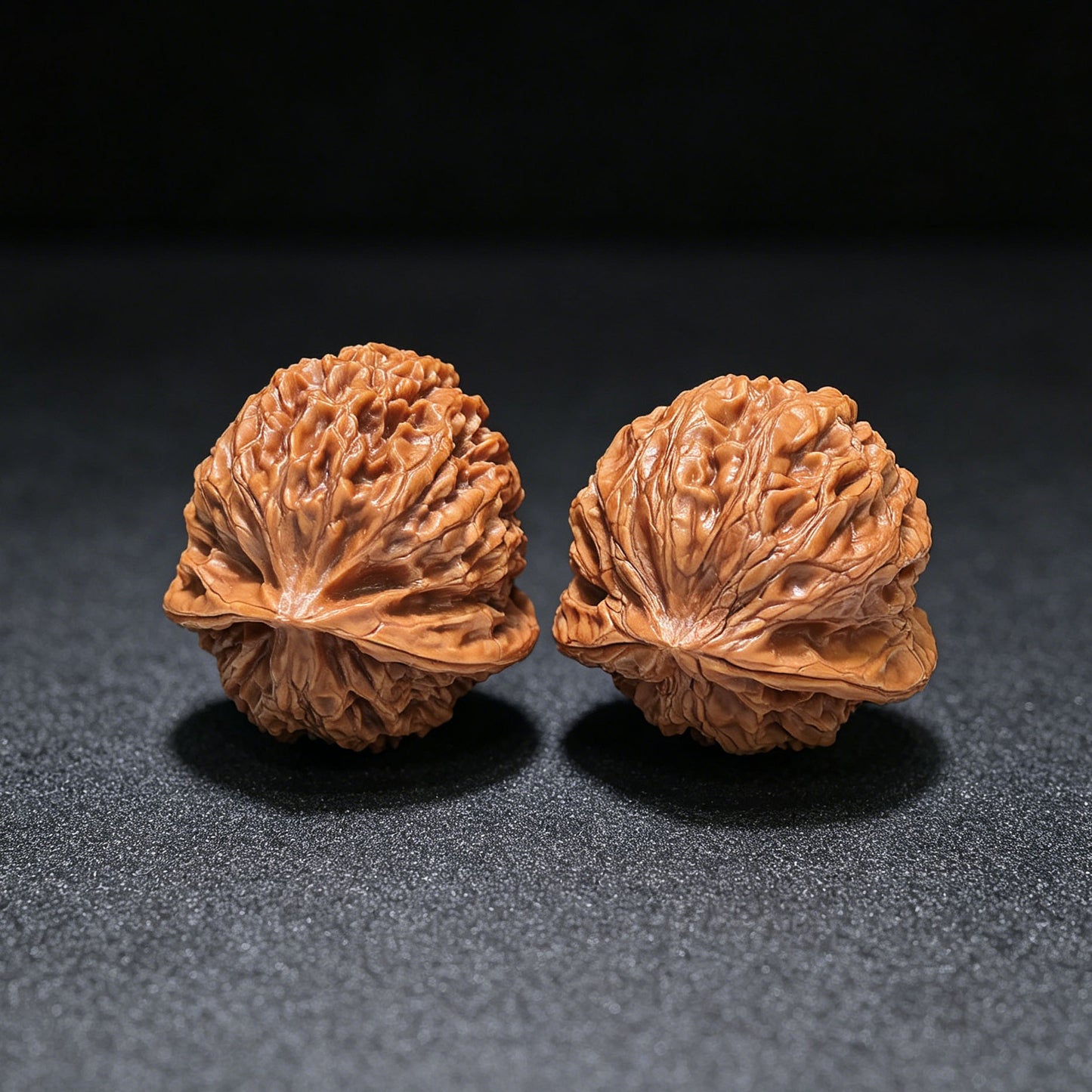 The Royal "Palace Lantern Turtle Shell" Gongdeng Wuguibei Pocket Masterpiece | 34.0mm x 37.0mm | GDWGB-401E