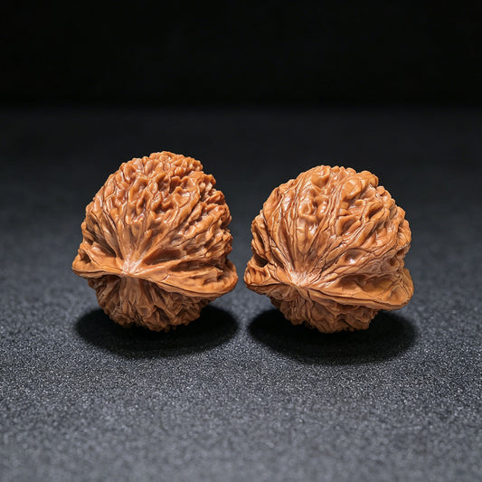 The Royal "Palace Lantern Turtle Shell" Gongdeng Wuguibei Pocket Masterpiece | 34.0mm x 37.0mm | GDWGB-401E