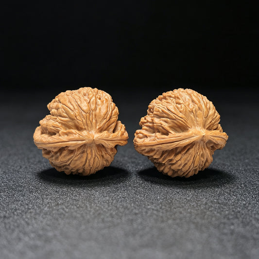 „Weißer Löwe, Schildkrötenrücken“ Baishizi Wuguibei Wenwan Walnüsse Paar | 42,0 mm x 40,0 mm | BSJWGB-C235E