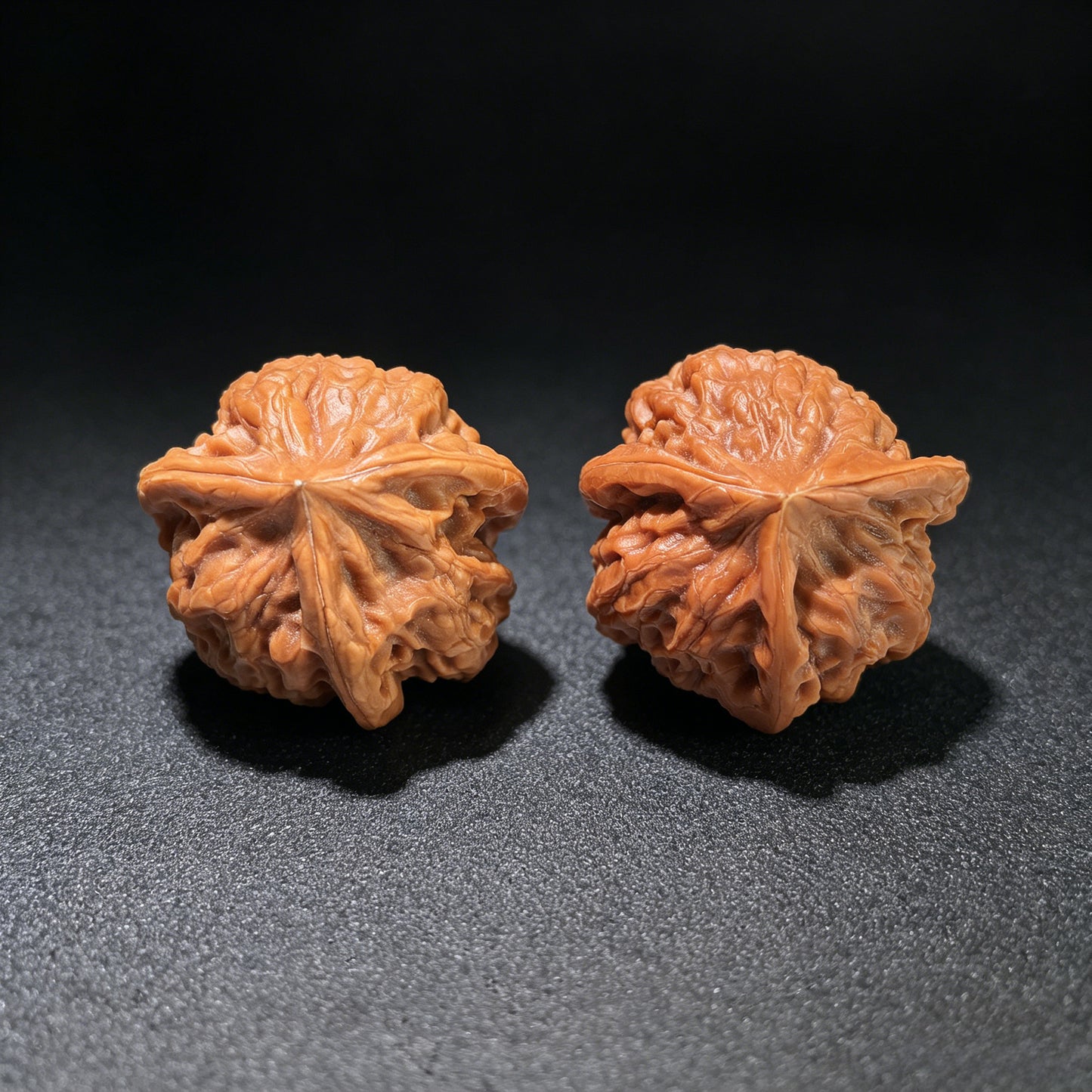 The "Long Zhan" (Dragon Gall) Trident Three-Ridge Pair | 31.0mm x 31.0mm | LZSN-1201E