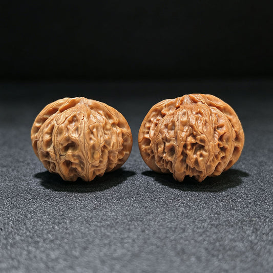 "Palace Lantern" (Gongdeng) Scholar Walnuts Pair | 42.0mm x 39.0mm | Classic Low-Profile Silhouette | Collector Grade Curation | Stock ID: GD-1101