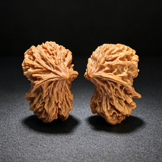The Whimsical "Apple Garden Big Bird" Pingguoyuan Daniao Pocket Masterpiece | 29.0mm x 40.0mm | PGYDL-401E