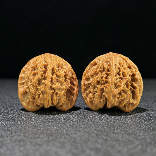 The "Heart-Profile Concave Base" (Tao Xin Ao Di) Full-Sky Star Variant | 41.0mm x 37.0mm | TXADMTX-1001