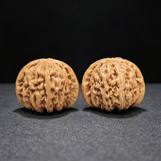 "Spherical White Lion" Qiuxing Baishizi Low-Profile Wenwan Walnuts Pair | 41.0mm x 41.0mm | QXBSJ-1502C
