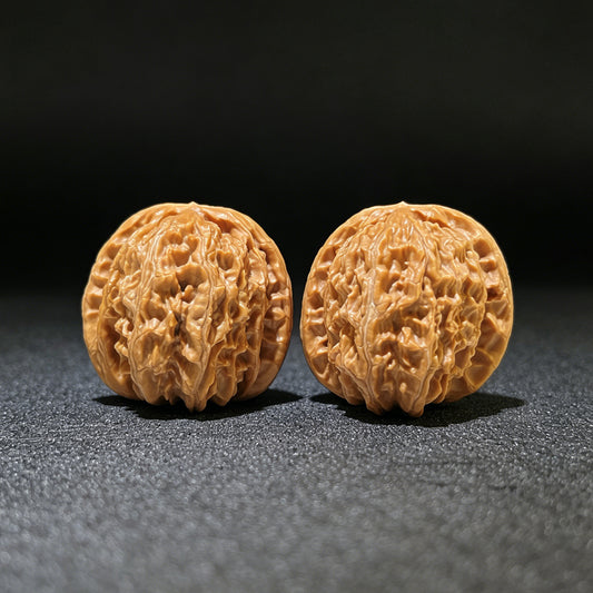 White Lion Head (Bai Shi Zi) Scholar Walnuts Pair | 36.0mm x 38.0mm | Compact Deep-Belly Format | Stock ID: BSZ-1103