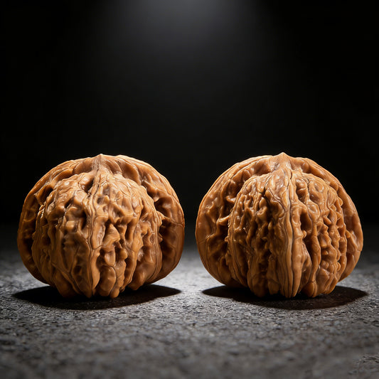 The "Si Zuo Lou" Lion Head Pair | 45.0mm x 42.0mm | SZL-1004