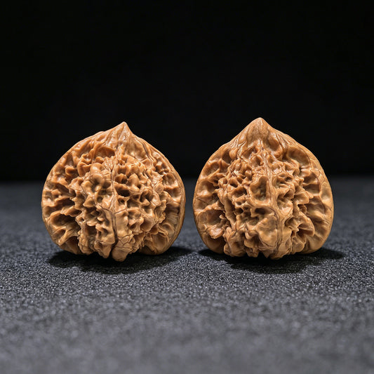 The Monumental "Kylin Pattern Turtle Shell Seated Buddha" Qilinwen Wuguibei Zuofo Collector Piece | 48.0mm x 44.0mm | QLWWGB-401E