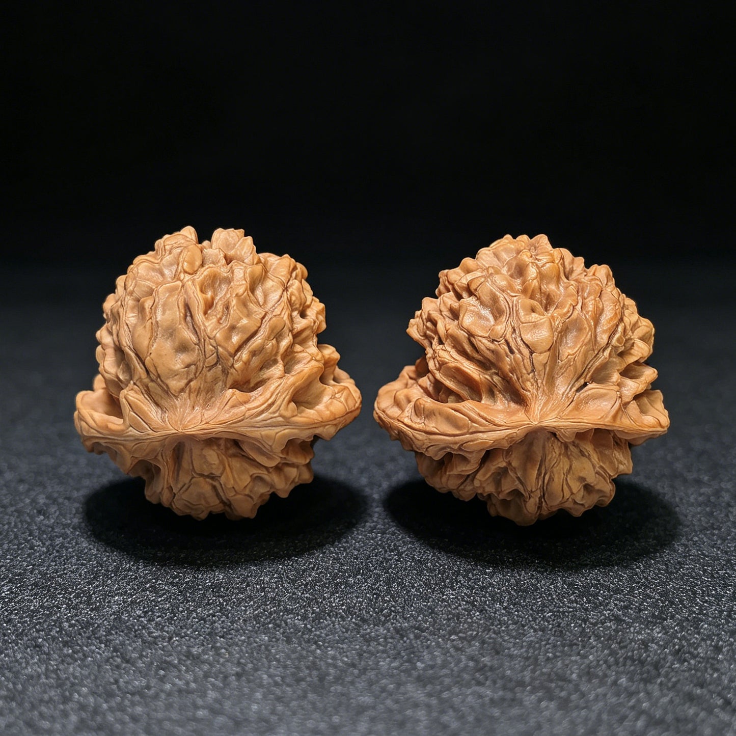 Museumsreifes Riesenpaar „Drachengefäß-Geierschildkröte“ (Long Ding E Gui) | 49.0mm x 49.0mm | 1:1 Match Standard | LDWG-401E