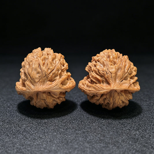 The "Dragon Vessel Alligator Snapping Tortoise" (Long Ding E Gui) Museum-Grade Giant Pair | 49.0mm x 49.0mm | 1:1 Match Standard | LDWG-401E