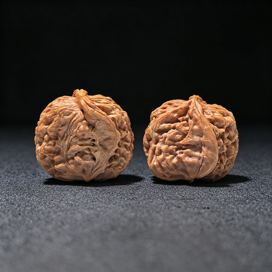 The Rare "White Lion" Half-Wall (Ban Bi) Ergonomic Pair | 31.0mm x 40.0mm | BXJBB-1201E