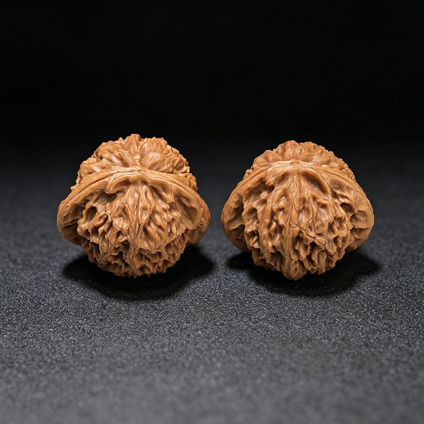 "Palace Lantern Flying Snake Turtle Back" Gdfsgb-CG219E Wenwan Walnuts Pair | 40.0mm x 38.0mm | GDFSGB-CG219E