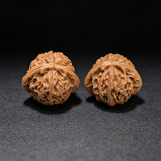 "Palace Lantern Flying Snake Turtle Back" Gdfsgb-CG219E Wenwan Walnuts Pair | 40.0mm x 38.0mm | GDFSGB-CG219E