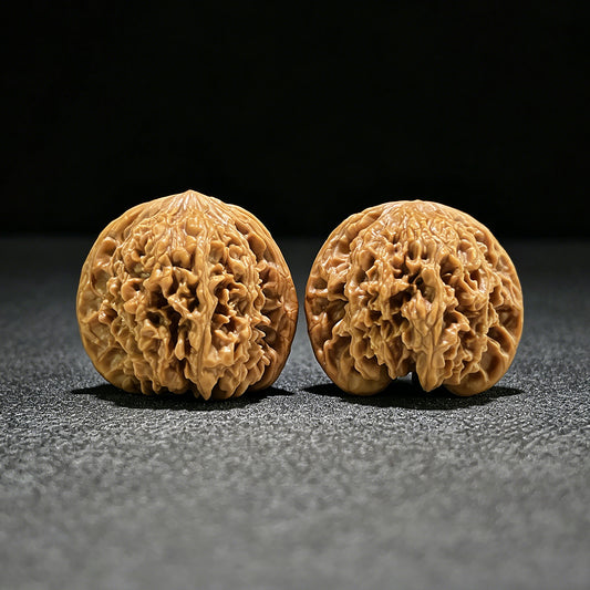 The "Starry Sky" (Man Tian Xing) Ergonomic Robust Pair | 39.0mm x 36.0mm | MTX-902