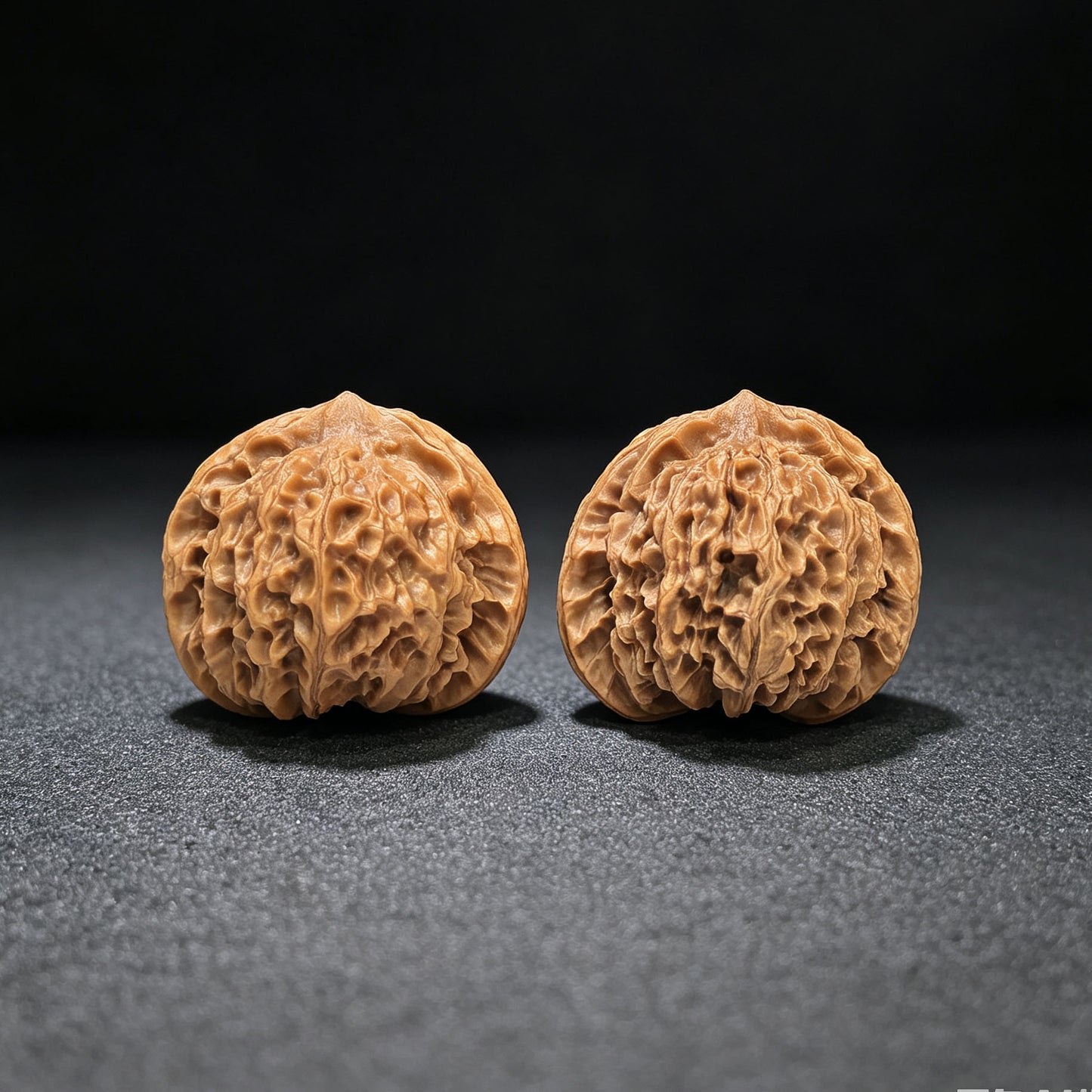 "Crescent Moon Lionhead" (Xuan Yue Shi Tou) Scholar Walnuts Pair | 39.0mm x 34.0mm | Low-Profile Broad-Edge Stance | Stock ID: XY-SY1C7