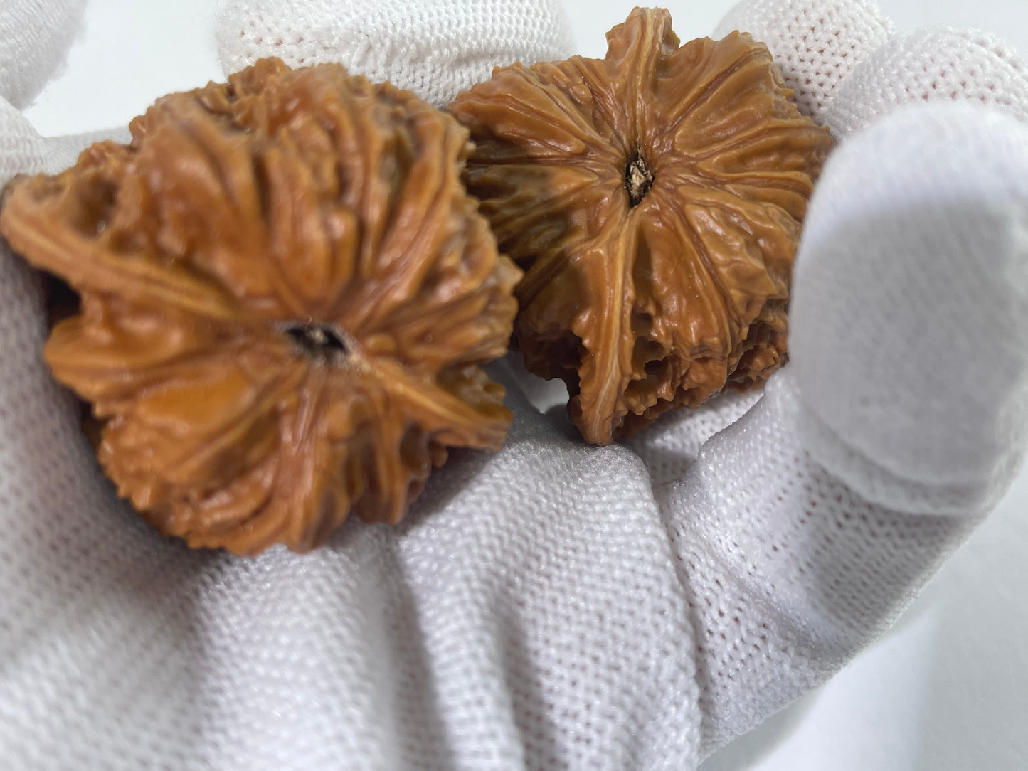 Meteor Shower Walnuts | High-Stimulation Texture (37mm)