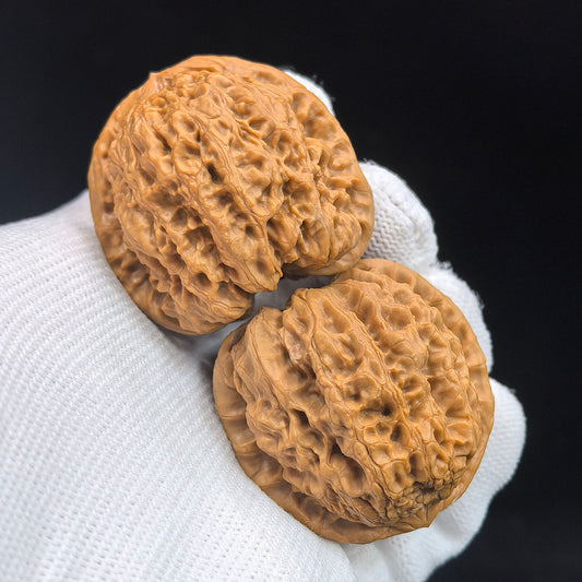 "Concave Base Rain Flower Stone" Concave Base Yuhuashi BDYHS-17A3C Low-Profile Wenwan Walnuts Pair | 35.0mm x 33.0mm | BDYHS-17A3C