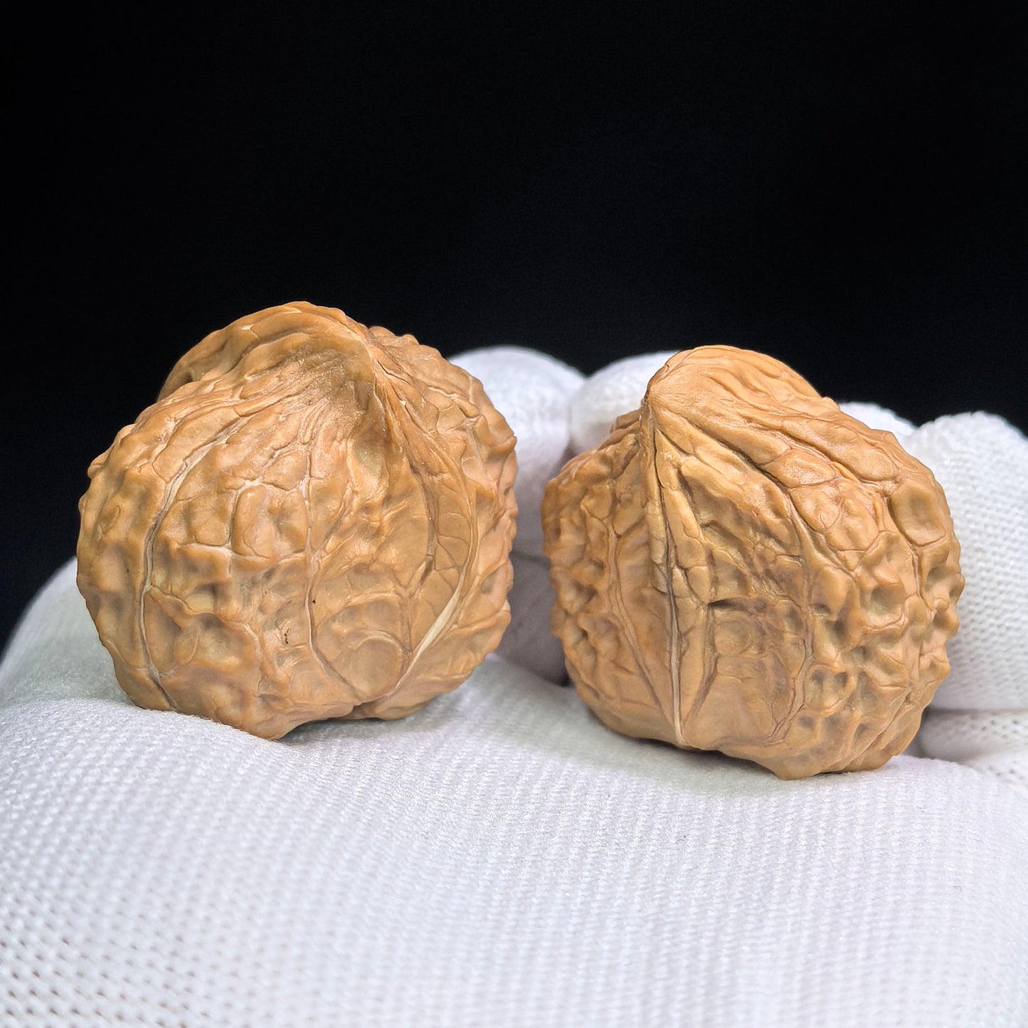 "Tortoise-Shell Hawk-Beak Half-Wall" (Gui Jia Wen Ying Zui Ban Bi) Scholar Walnuts Pair | Same-Fruit Biological Twin Pair | 26.0mm x 35.0mm | Miniature Pocket Format (Shou Nian) | Stock ID: GJW-SY1B7