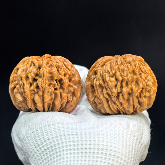 "Huakun Dragon" Huakunlong Low-Profile Wenwan Walnuts Pair | 48.0mm x 48.0mm | HKL-1503C