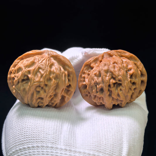 "Palace Lantern" (Gongdeng) Scholar Walnuts Pair | 42.0mm x 39.0mm | Classic Low-Profile Silhouette | Collector Grade Curation | Stock ID: GD-1101