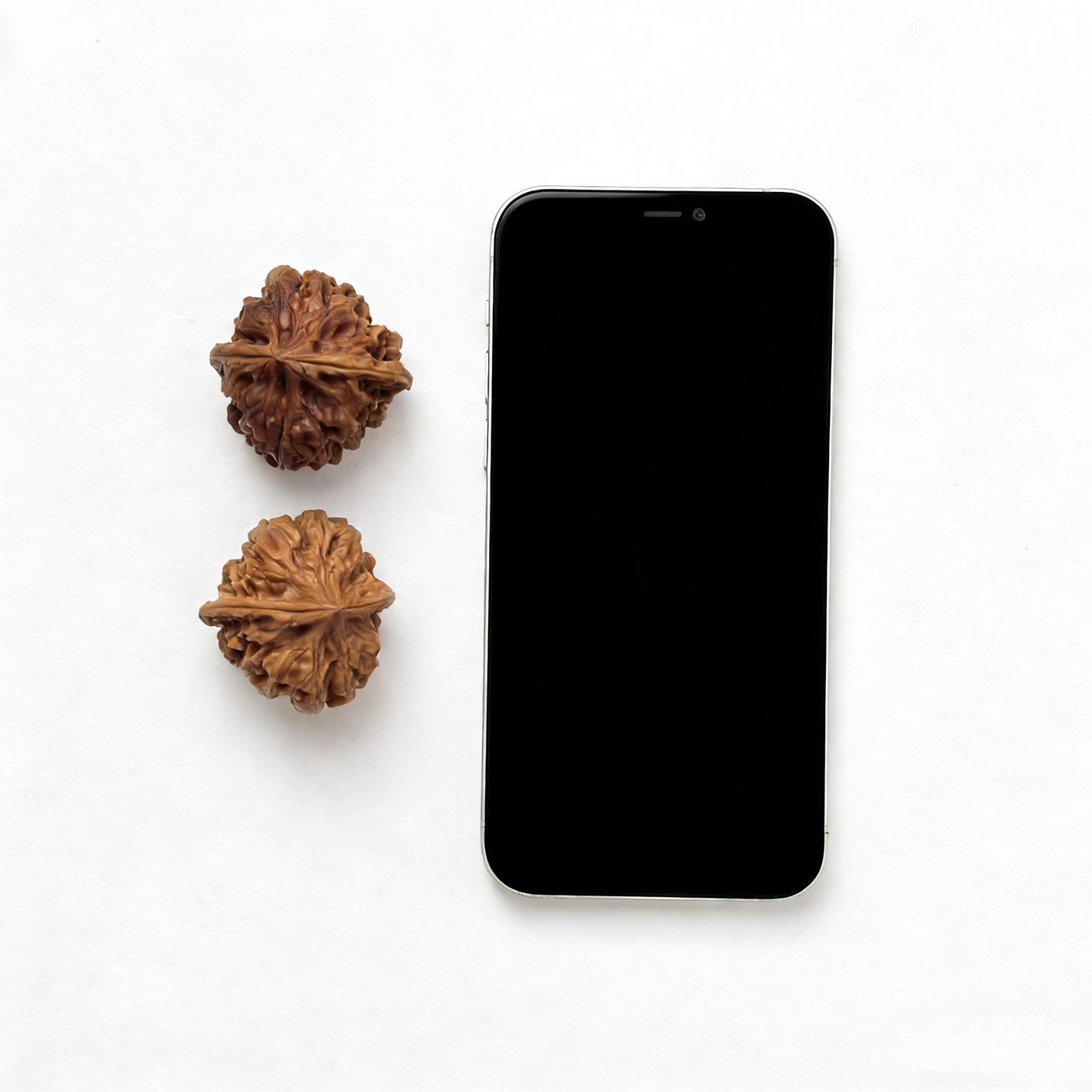 The "Jiu Long Yu" (Nine Dragons Valley) Pair | 39.0mm | JLY-01