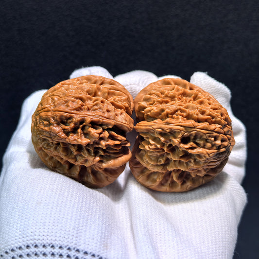 The "Blizzard" (Bao Xue) Pair | Boutique Grade | 44.0mm x 42.0mm | BX-401C