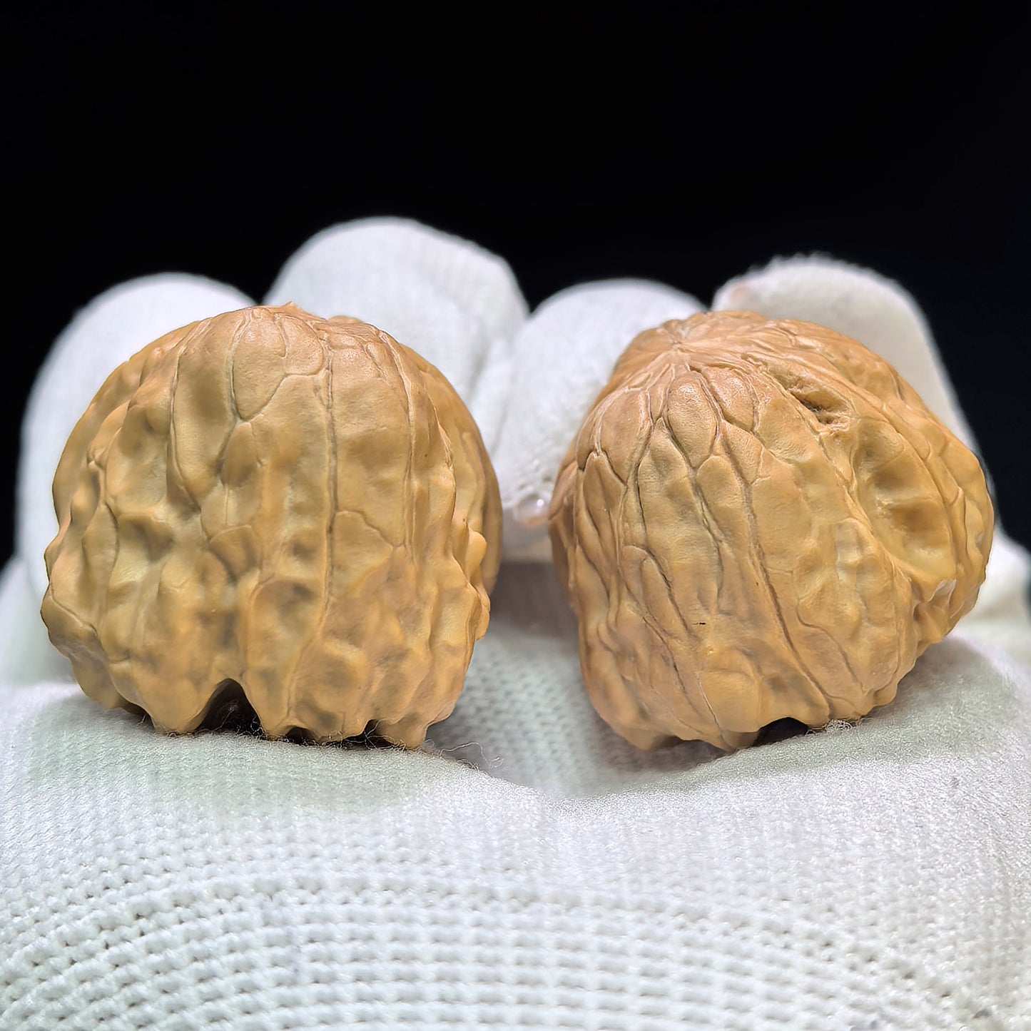 "Golden Toad Vessel" Jinchanzun JCZ-1601 Low-Profile Wenwan Walnuts Pair | 29.0mm x 34.0mm | JCZ-1601