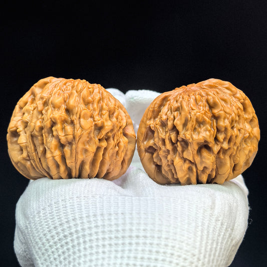 "Butterfly Huakun Dragon" Hudie Huakunlong Low-Profile Wenwan Walnuts Pair | 48.0mm x 46.0mm | HKL-1506C
