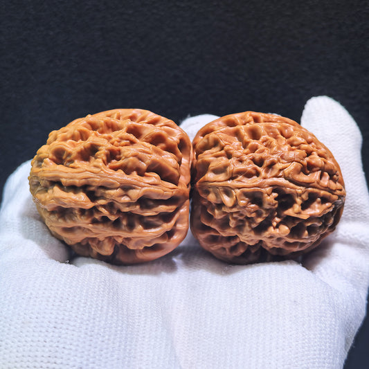 The "Red Koi" (Hong Jin Li) Pair | Boutique Grade | 40.0mm x 40.0mm x 41.0mm | HJL-401C