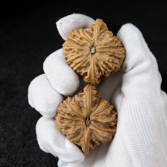 The "Southern General" (Nan Jiang Shi) – 41mm Iron-Density Pair | #NJS-70 (Actual Item Pictured)