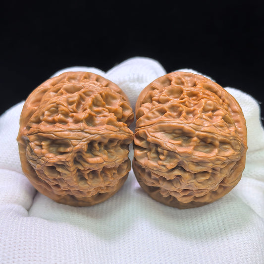 "Palace Lantern Flying Snake Turtle Back" Gdfsgb-CG219E Wenwan Walnuts Pair | 40.0mm x 38.0mm | GDFSGB-CG219E